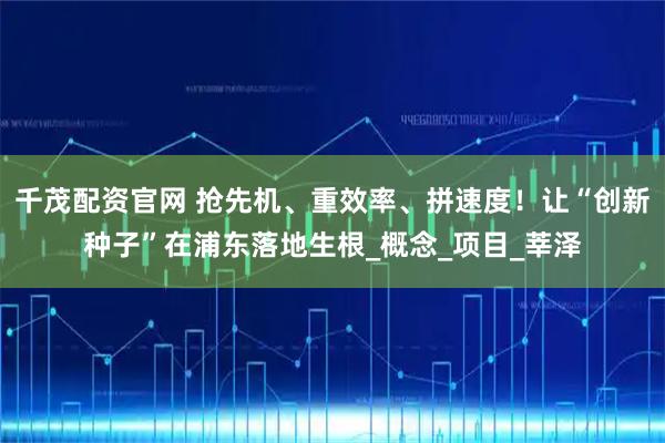 千茂配资官网 抢先机、重效率、拼速度！让“创新种子”在浦东落地生根_概念_项目_莘泽